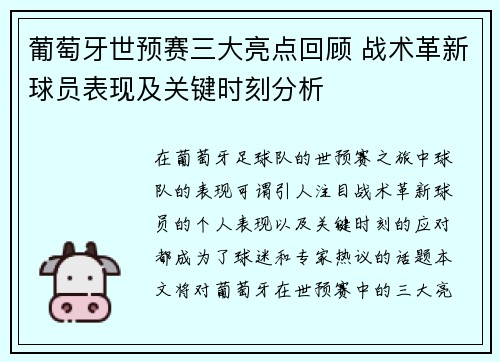 葡萄牙世预赛三大亮点回顾 战术革新球员表现及关键时刻分析 葡萄牙世预赛三大亮点回顾 战术革新球员表现及关键时刻分析