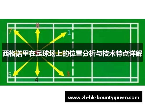 西格诺里在足球场上的位置分析与技术特点详解 西格诺里在足球场上的位置分析与技术特点详解