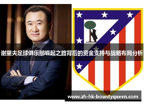 谢里夫足球俱乐部崛起之路背后的资金支持与战略布局分析 谢里夫足球俱乐部崛起之路背后的资金支持与战略布局分析