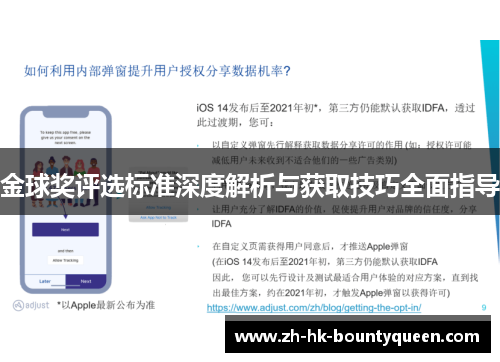 金球奖评选标准深度解析与获取技巧全面指导